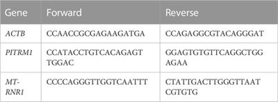 PPAR-gamma agonist pioglitazone recovers mitochondrial quality control in fibroblasts from PITRM1-deficient patients